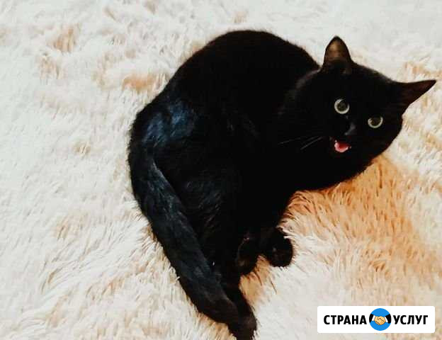 Редактор фото Советский - изображение 1