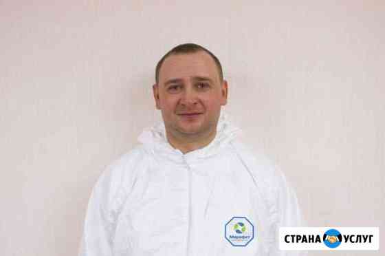 Обработка от клопов тараканов мух клещей Таганрог Таганрог
