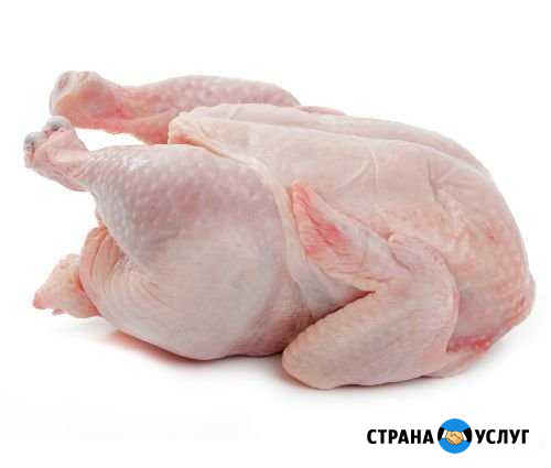 Мясо птицы Уфа - изображение 1