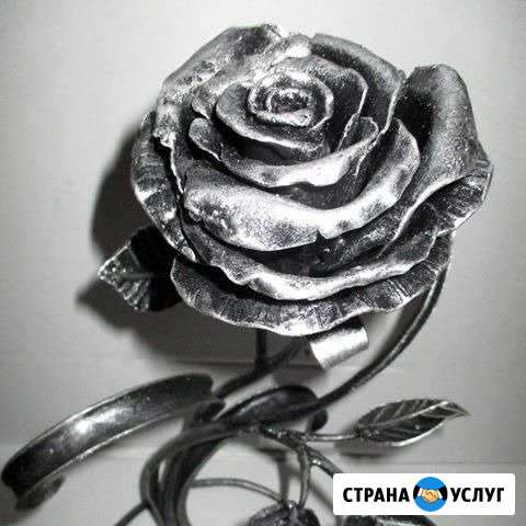 Роза Воткинск - изображение 1
