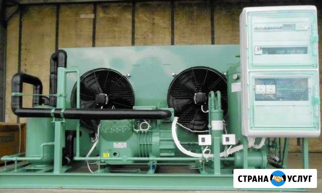 Холодильная система 4DC-5.2Y Ленинградская - изображение 1