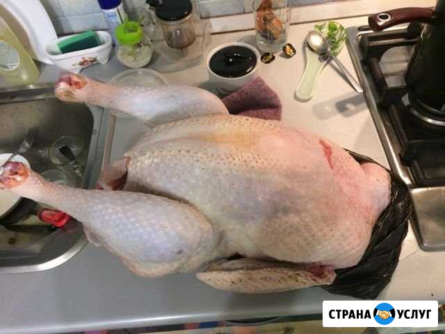 Мясо домашней индюшки Волгоград - изображение 1