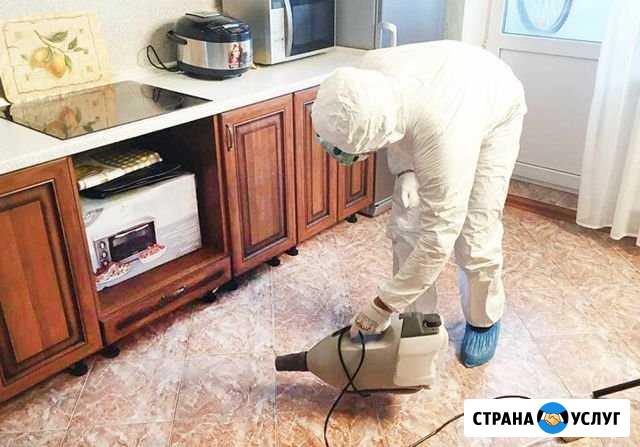 Уничтожение клопов, тараканов, насекомых Красноярск - изображение 1