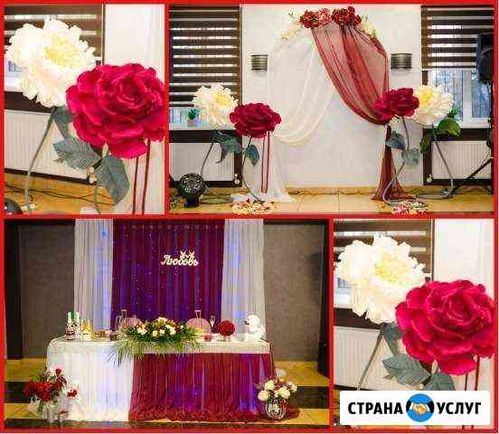 Сделаю Ваш праздник красивым Гусь-Хрустальный