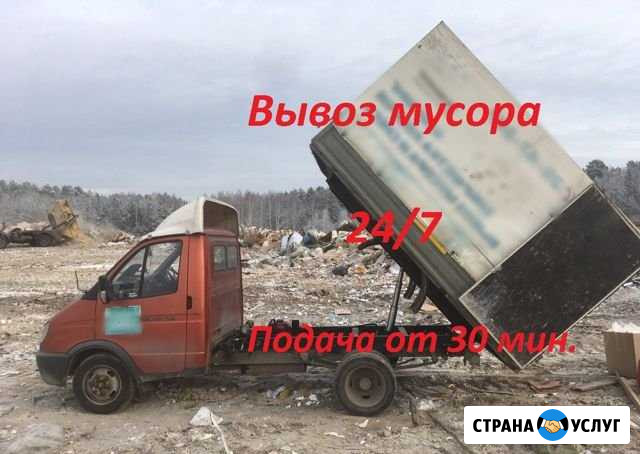 Вывоз мусора, вывоз веток, деревьев,хлама Кировск - изображение 1