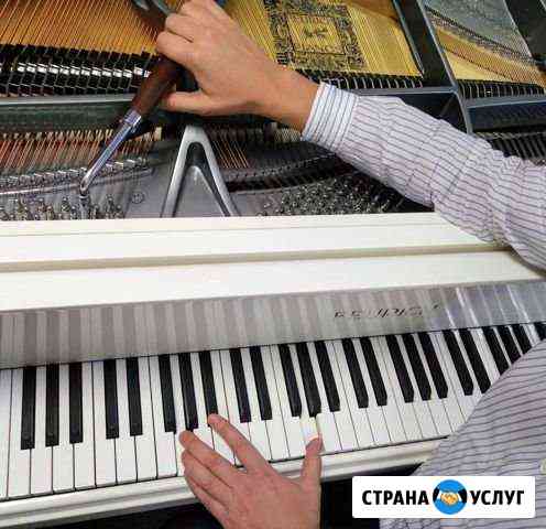 Настройщик фортепиано, пианино Балахна
