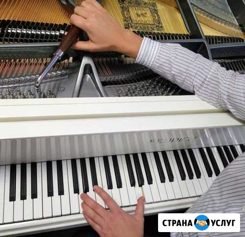 Настройщик фортепиано, пианино Балахна - изображение 1