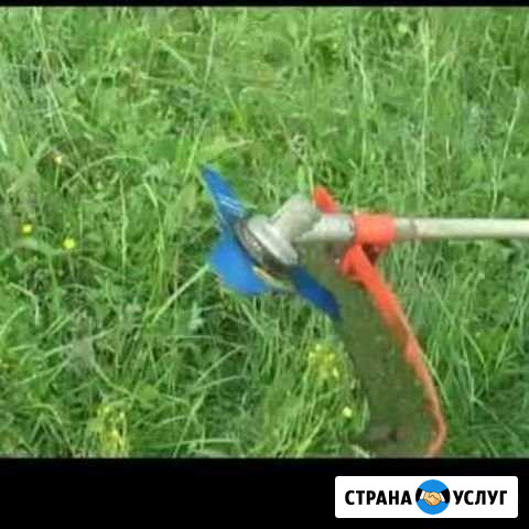 Кошу траву триммером Елань - изображение 1