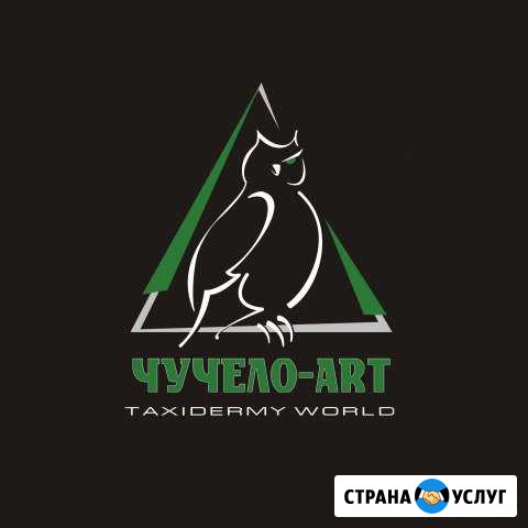 Любые чучела, таксидермия, ковры, рога, чучело, др Самара - изображение 1