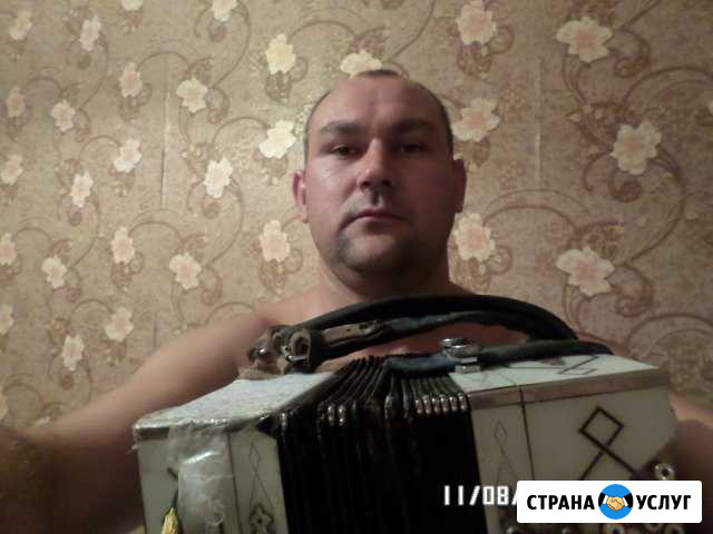 Баянист Таганрог - изображение 1