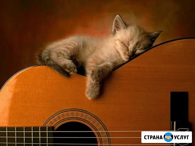 Обучение игры на гитаре с нуля Смоленск - изображение 1