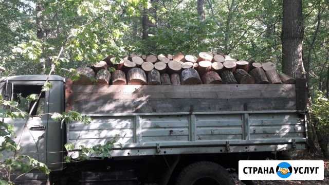 Дрова Павловск - изображение 1
