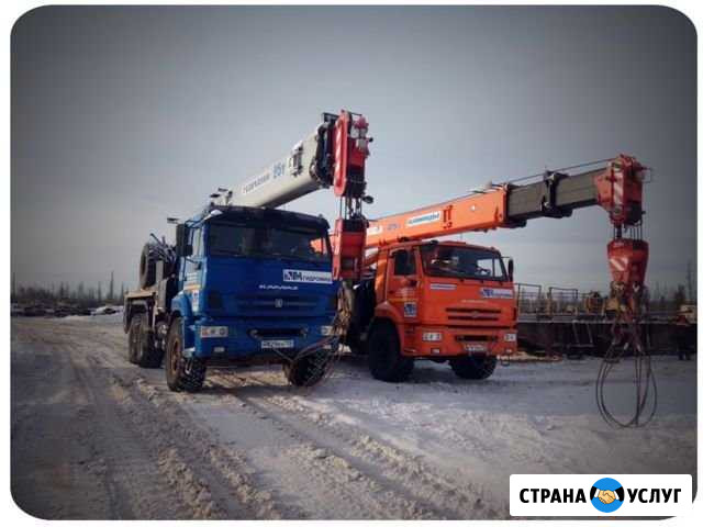Аренда автокранов 25,32,40,50т Усть-Кут - изображение 1