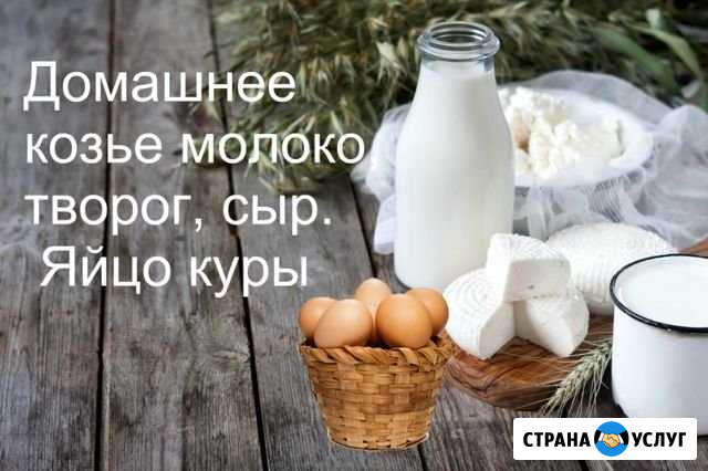 Козье молоко и др Шарыпово - изображение 1