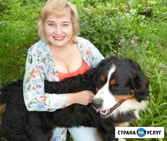 Передержка кошек и собак. Догситтер и кэтситтер Раменское - изображение 1