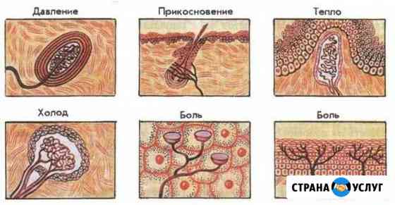 Массаж по Китайски Кисловодск