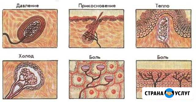 Массаж по Китайски Кисловодск - изображение 1