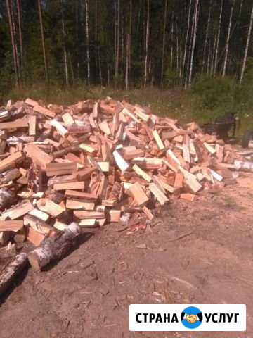 Продам дрова естественной влажности: берёза, ольха Волосово - изображение 1