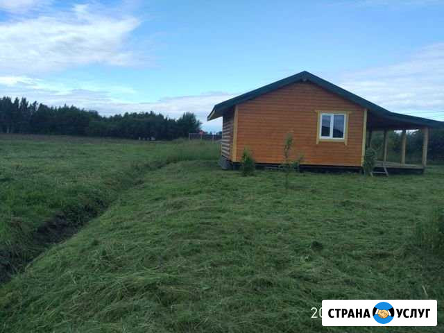 Покос травы, мелкого кустарника, борщевика Русско-Высоцкое - изображение 1