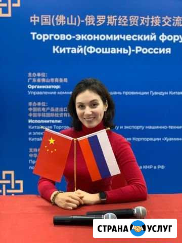 Переводчик китайского/английского языков Ставрополь - изображение 1