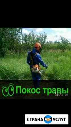 Покос травы Кузнецк