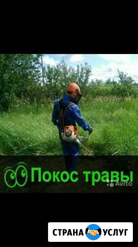 Покос травы Кузнецк - изображение 1