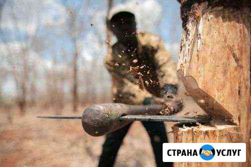 Спил дерева Оренбург