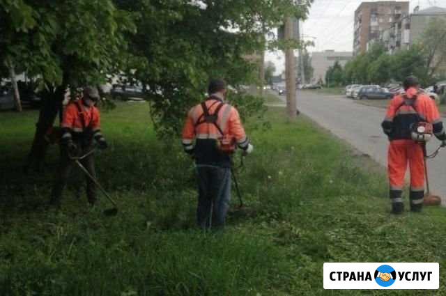 Покос травы,Спил деревьев,Расчистка участка,Уборка Ставрополь - изображение 1