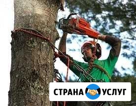 Спил деревьев, санитарная обрезка веток Одоев - изображение 1