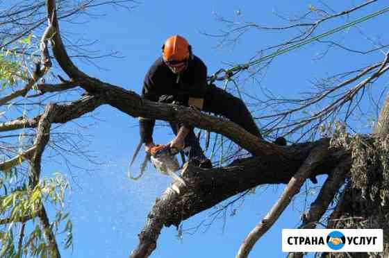 Спил деревьев Ессентуки