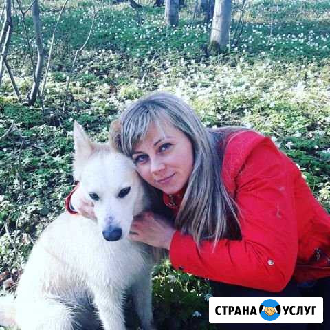 Передержка животных Пермь - изображение 1