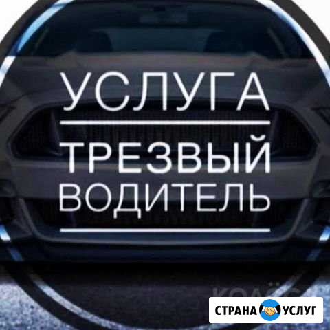 Водитель Советский - изображение 1