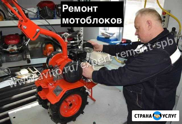 Ремонт мотоблоков Санкт-Петербург - изображение 1