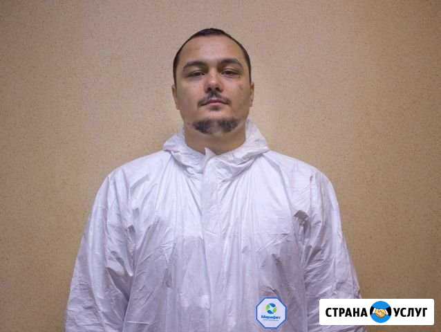 Уничтожение клещей, обработка от клещей в Туле Тула - изображение 1