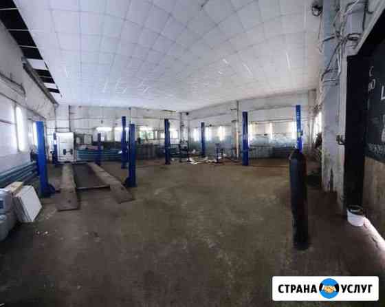 Сдам в аренду четырехстоечный подъёмник Владимир