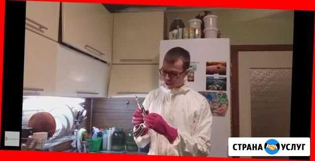 Клопов тараканов уничтожение.Навсегда.Быстро Ярославль - изображение 1