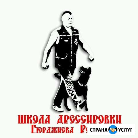 Профессиональная Дрессировка Собак Ессентуки - изображение 1