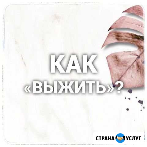 Регистрация ип.ооо. 3-ндфл. Главный.Бухгалтер Воронеж - изображение 1