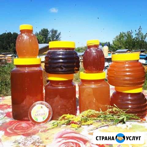 Продам Мед Барнаул - изображение 1