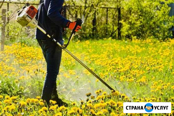 Покос травы и бурьяна. Без выходных Вологда - изображение 1