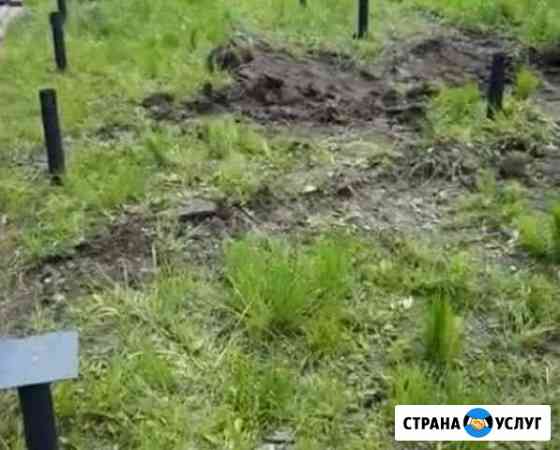 Услуги по монтажу винтовых свай Дмитров