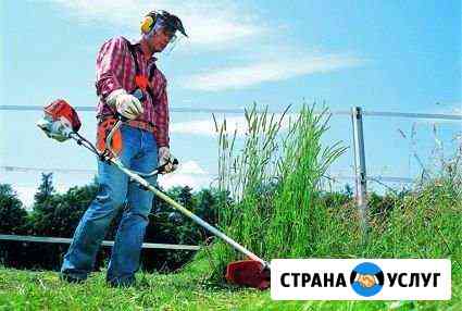 Выкос любой травы,кустов,деревьев Тюмень