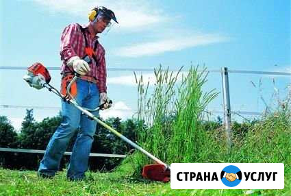 Выкос любой травы,кустов,деревьев Тюмень - изображение 1