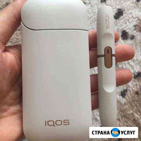 Ремонт iqos Димитровград