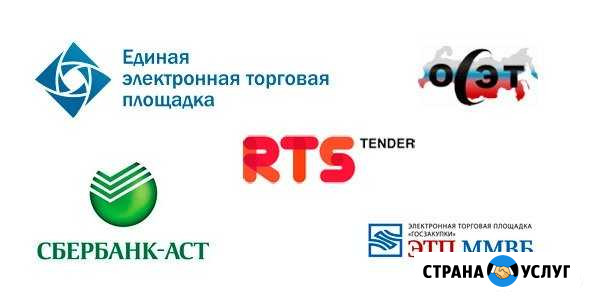 Эцп. Регистрация в еис. Открытие спецсчета Оренбург - изображение 1