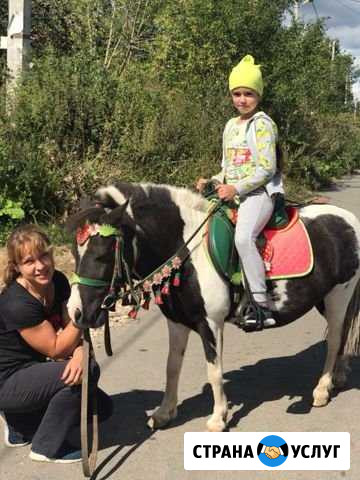 Занятия для детей на пони Солнечногорск - изображение 1