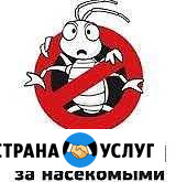 Уничтожение насекомых Иваново - изображение 1