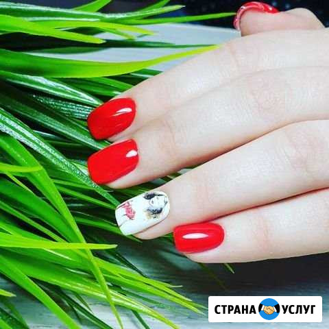 Маникюр, педикюр Владимир - изображение 1