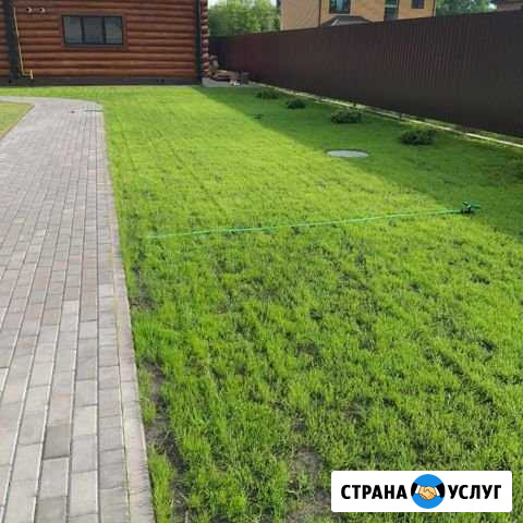 Газоны под ключ Таруса - изображение 1
