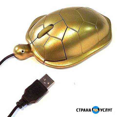 Профессиональная поддержка в IT Ступино